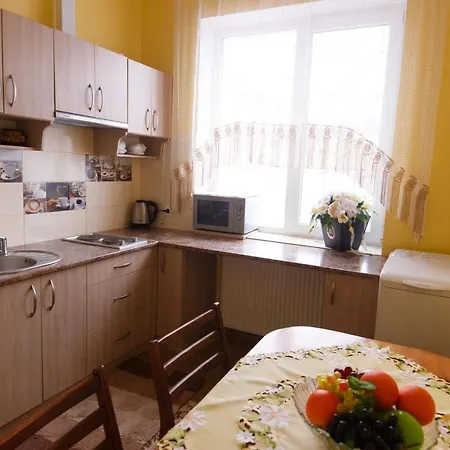 Lägenhetshotell Гостевой Дом В Трускавце *